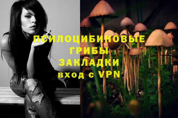 ГАЛЛЮЦИНОГЕННЫЕ ГРИБЫ Надым