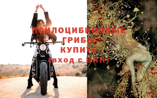 ГАЛЛЮЦИНОГЕННЫЕ ГРИБЫ Надым
