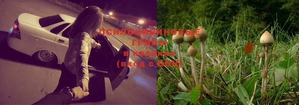 ГАЛЛЮЦИНОГЕННЫЕ ГРИБЫ Надым