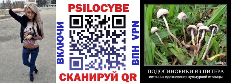 Галлюциногенные грибы Magic Shrooms  Купить где  Ростов 