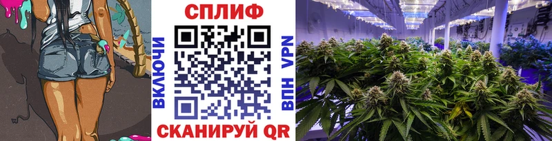 МАРИХУАНА Ganja  Купить  Ростов 